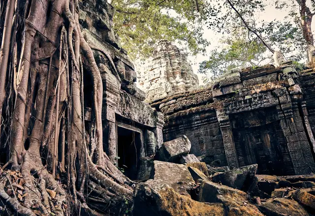 Ангкор на рассвете + малый круг - фото 5
