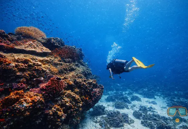 Diving and snorkeling in Phu Quoc - фото 3