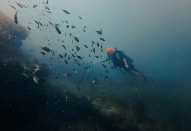 Diving and snorkeling in Phu Quoc - фото 5