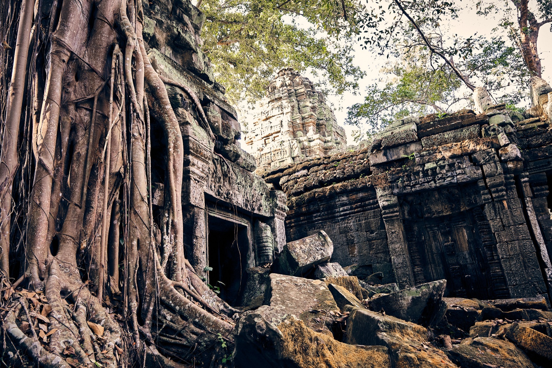 Ангкор на рассвете + малый круг