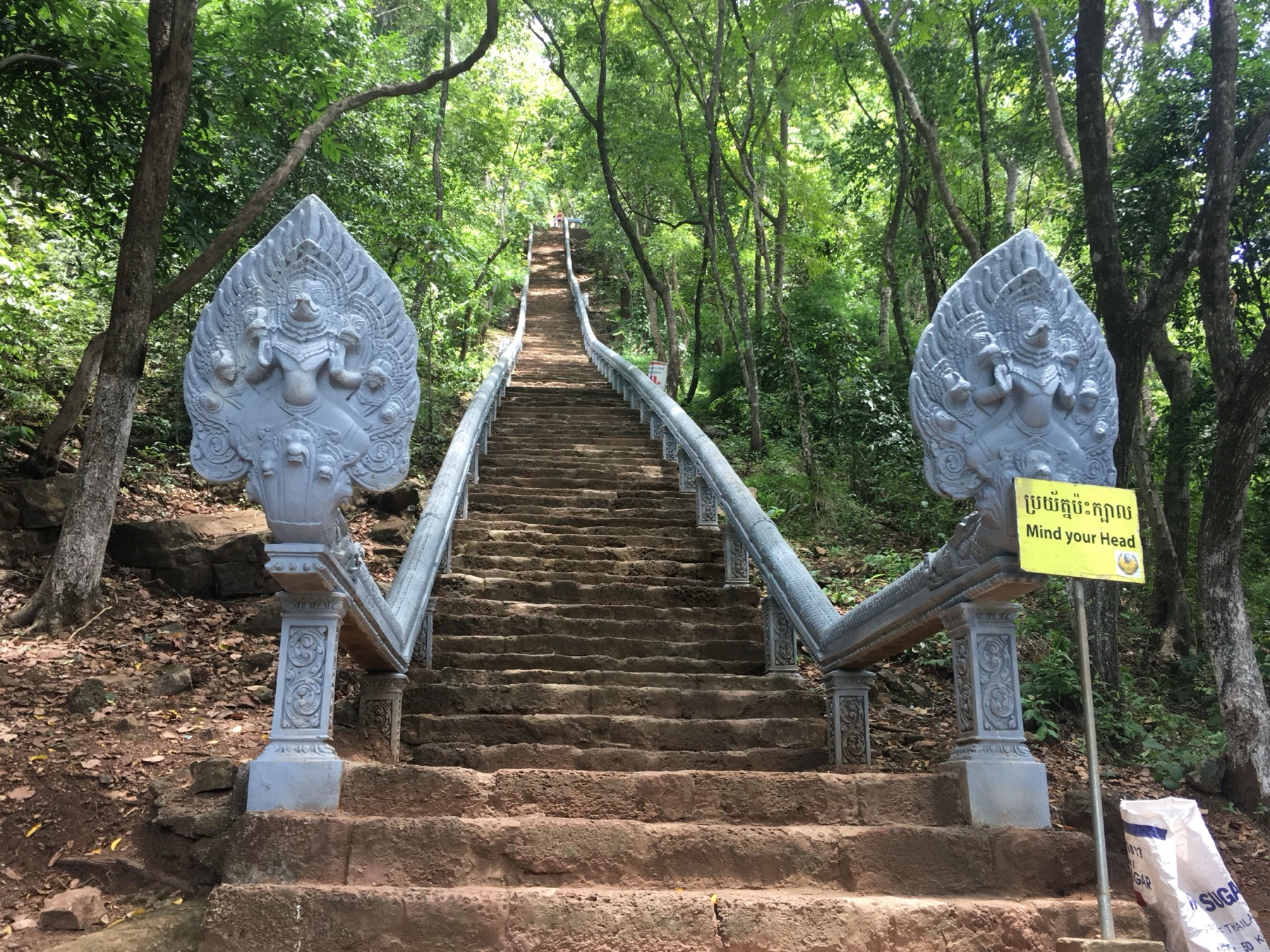 Баттамбанг: бамбуковый поезд, храмы и пещера летучих мышей