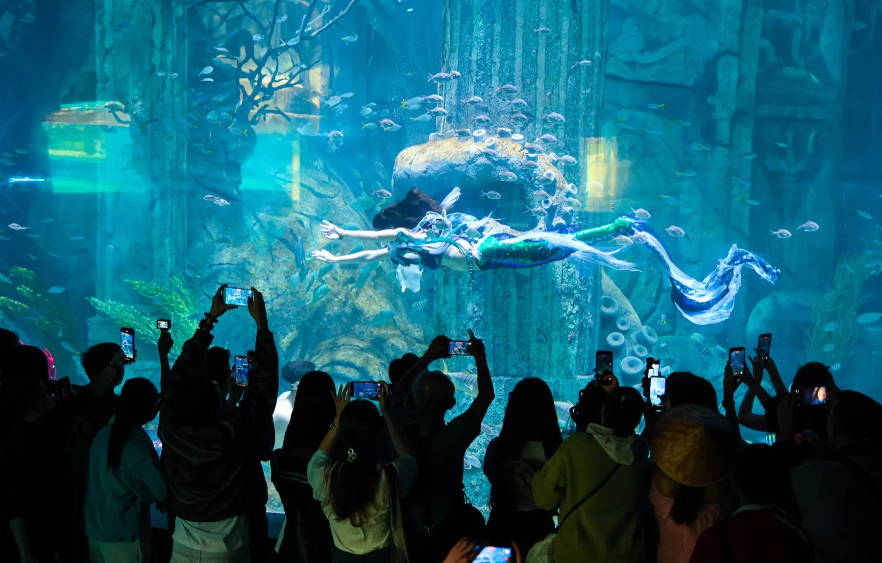 Sea World aquarium at VinWonders Nha Trang