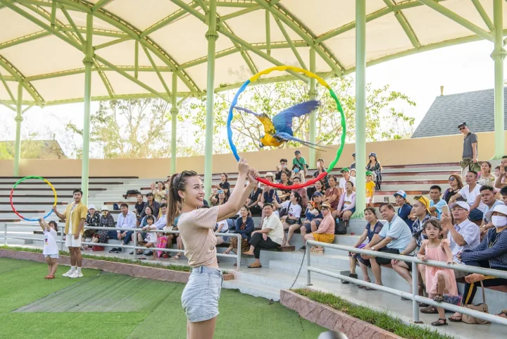 Bird performing a trick on the Bird Show stage