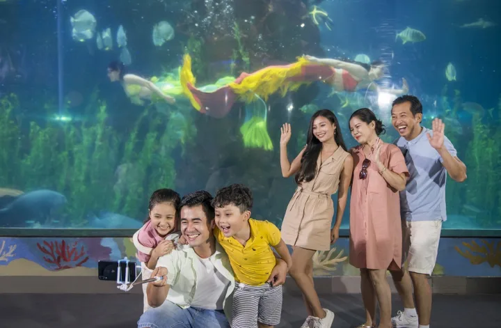 Mermaid interaction in Underwater World