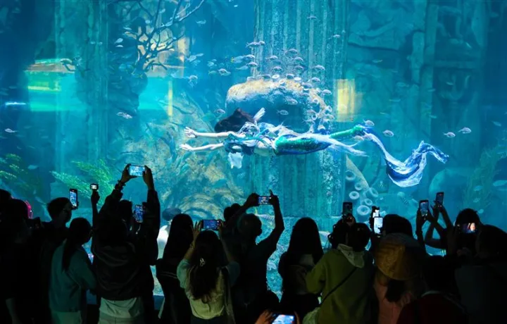 Princess Marina mermaid show inside VinWonders aquarium
