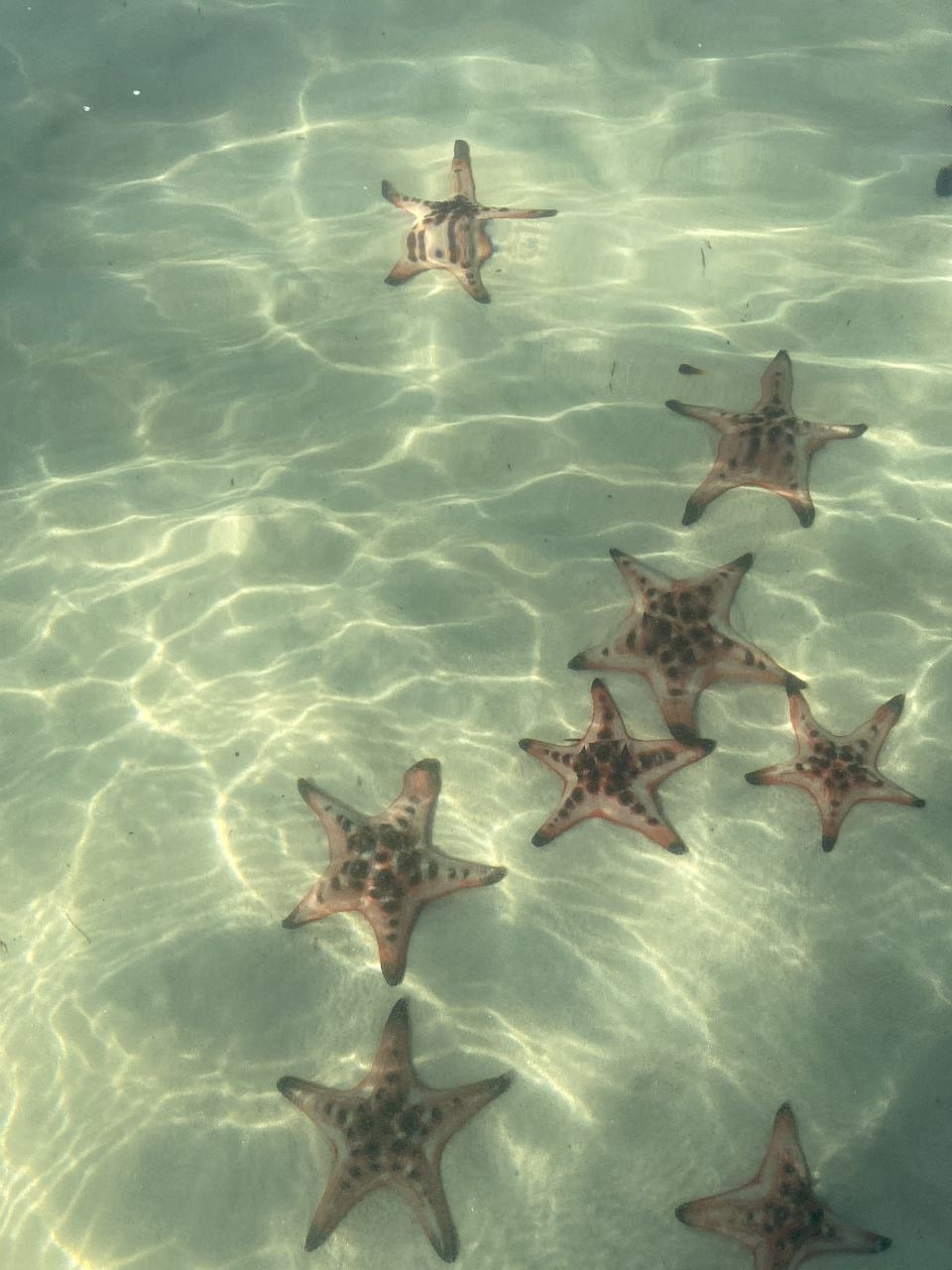Phu Quoc Jungle and Sea Treasures (VIP) - фото 2