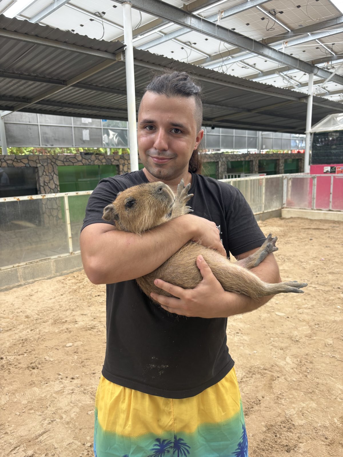 Fanrang with capybaras