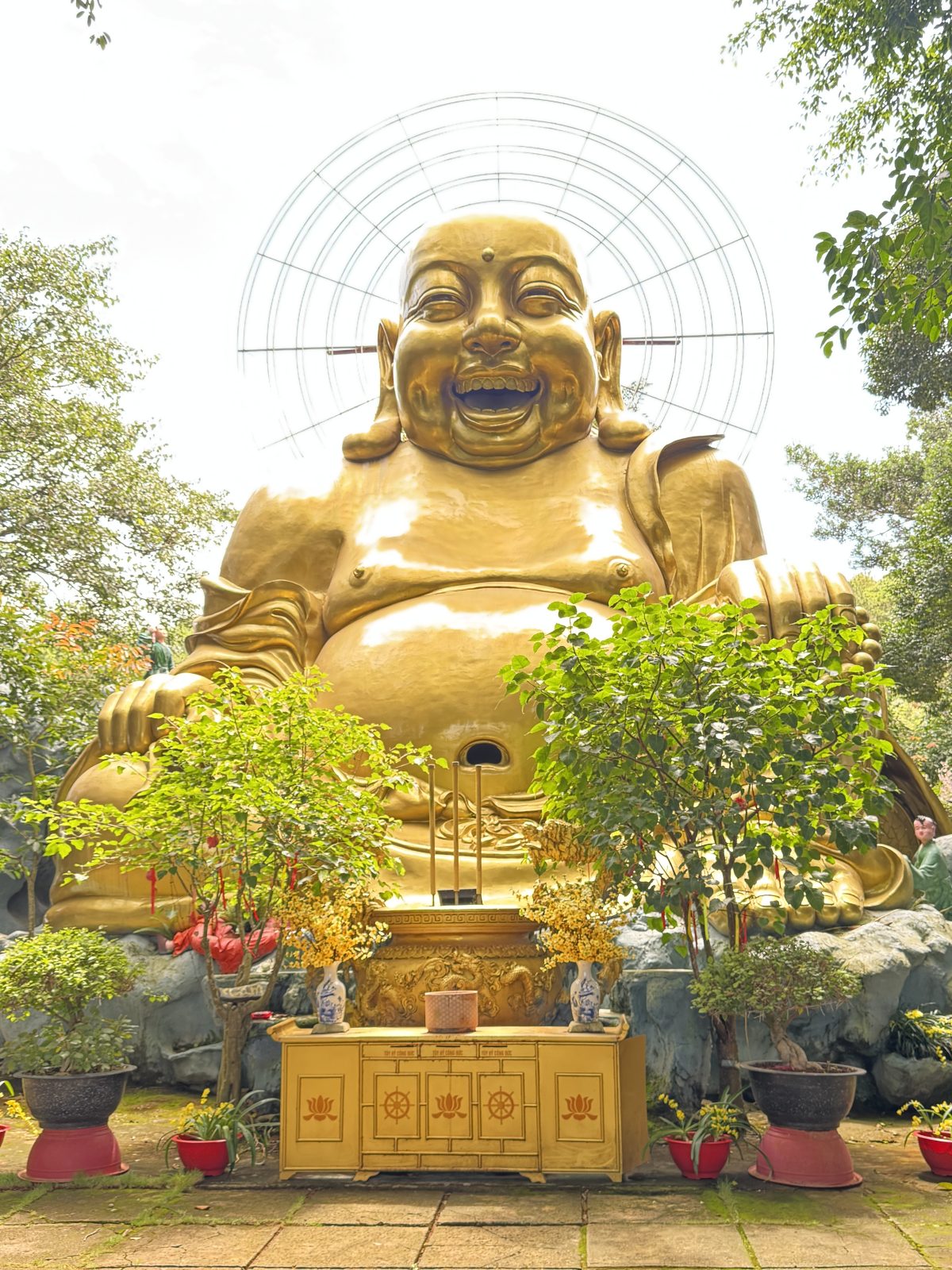 大叻2天 - фото из отзыва 1