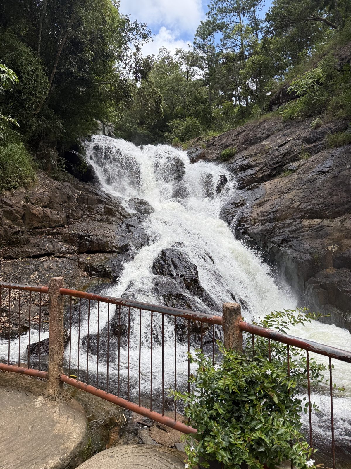 Dalat 1 day - фото из отзыва 2