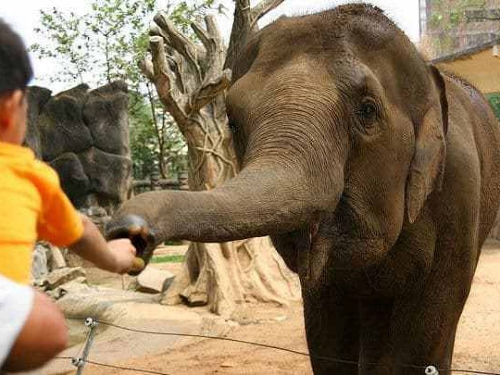 Сайгон достопримечательности