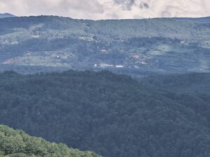 Экскурсии в Нячанге 17 09 2022 53 scaled