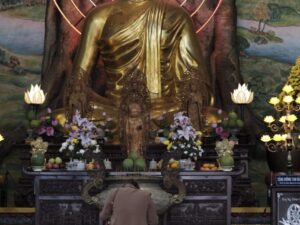 Экскурсии в Нячанге 29 08 2022 39 scaled