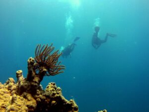 дайвинг в нячанге