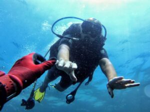 Экскурсии в Нячанге Diving21 scaled