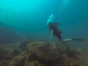 Экскурсии в Нячанге Diving34 scaled