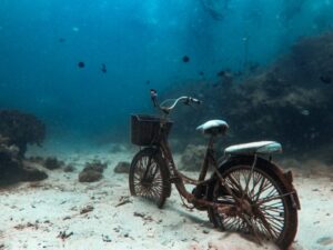 Экскурсии в Нячанге Diving51 scaled