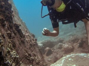 Экскурсии в Нячанге Diving54 scaled