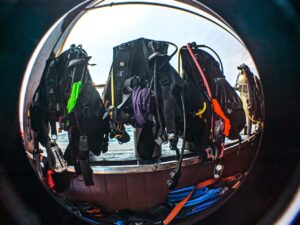 Экскурсии в Нячанге Diving79 scaled