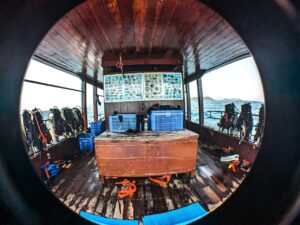 Экскурсии в Нячанге Diving81 scaled