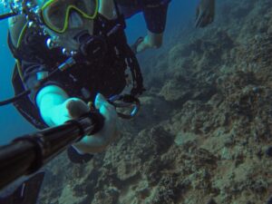 Экскурсии в Нячанге Diving90 scaled