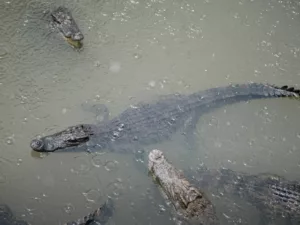 Экскурсии в Нячанге Web5 1280x853 1