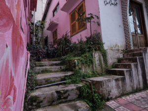 Экскурсии в Нячанге Далат 53 1 scaled