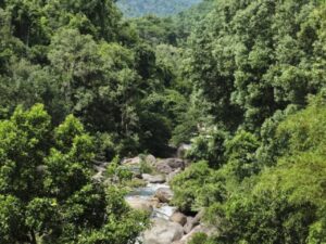 Экскурсии в Нячанге Квадроциклы 4 640x960 1