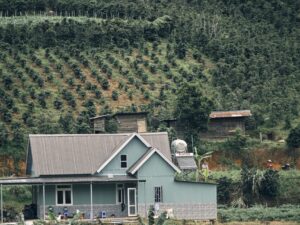 Экскурсии в Нячанге Кофейные плантации 1 scaled