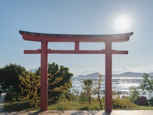 Экскурсии в Нячанге Фуйен 10 scaled