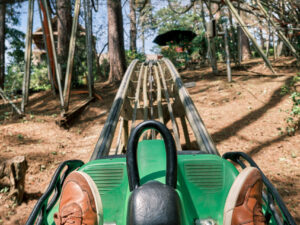 Экскурсии в Нячанге Электросани в Далате scaled