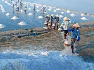 Соляные плантации в Фанранге