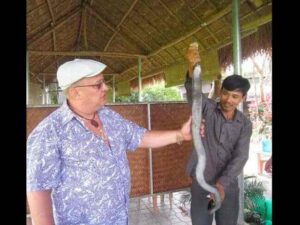 Экскурсии в Нячанге экскурсии в нячанге съесть змею