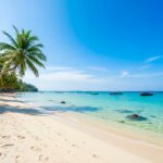 Покорение дикого Фукуока (VIP)