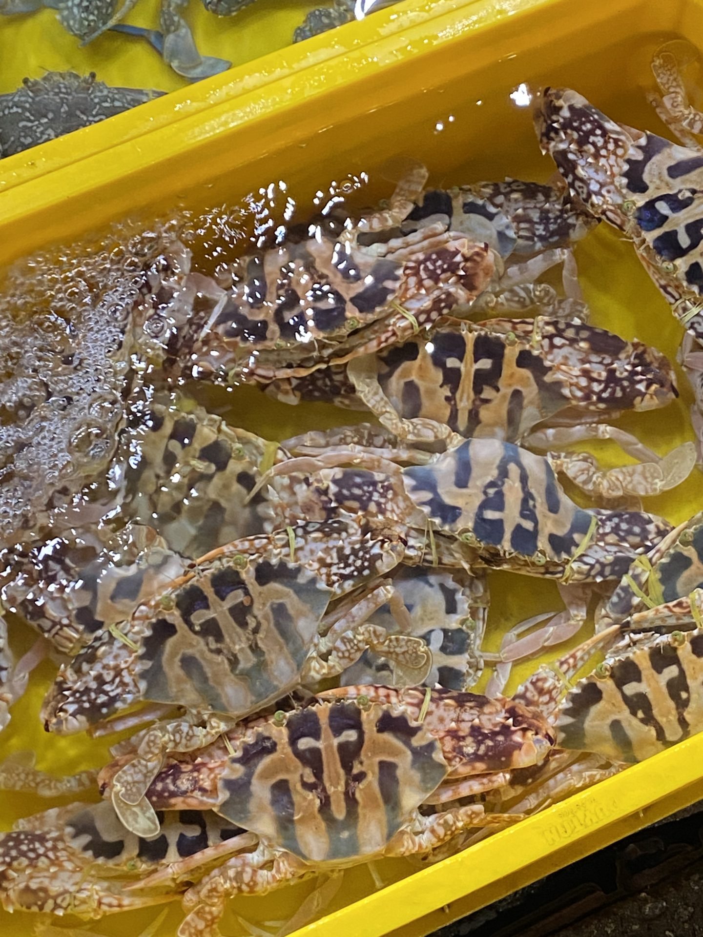 ночной рынок и морепродукты Переходим в ресторан со свежайшими дарами моря. Расскажем: как выбрать морепродукты, что стоит заказывать, а что — нет, как не переплатить и не ошибиться с качеством.