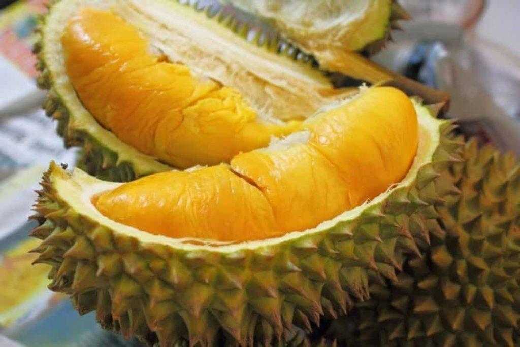 Дуриан Вьетнам